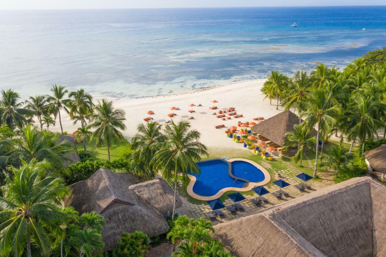 Oceanica Resort Panglao, Bohol Bagian luar foto Aerial view of the beach at the resort