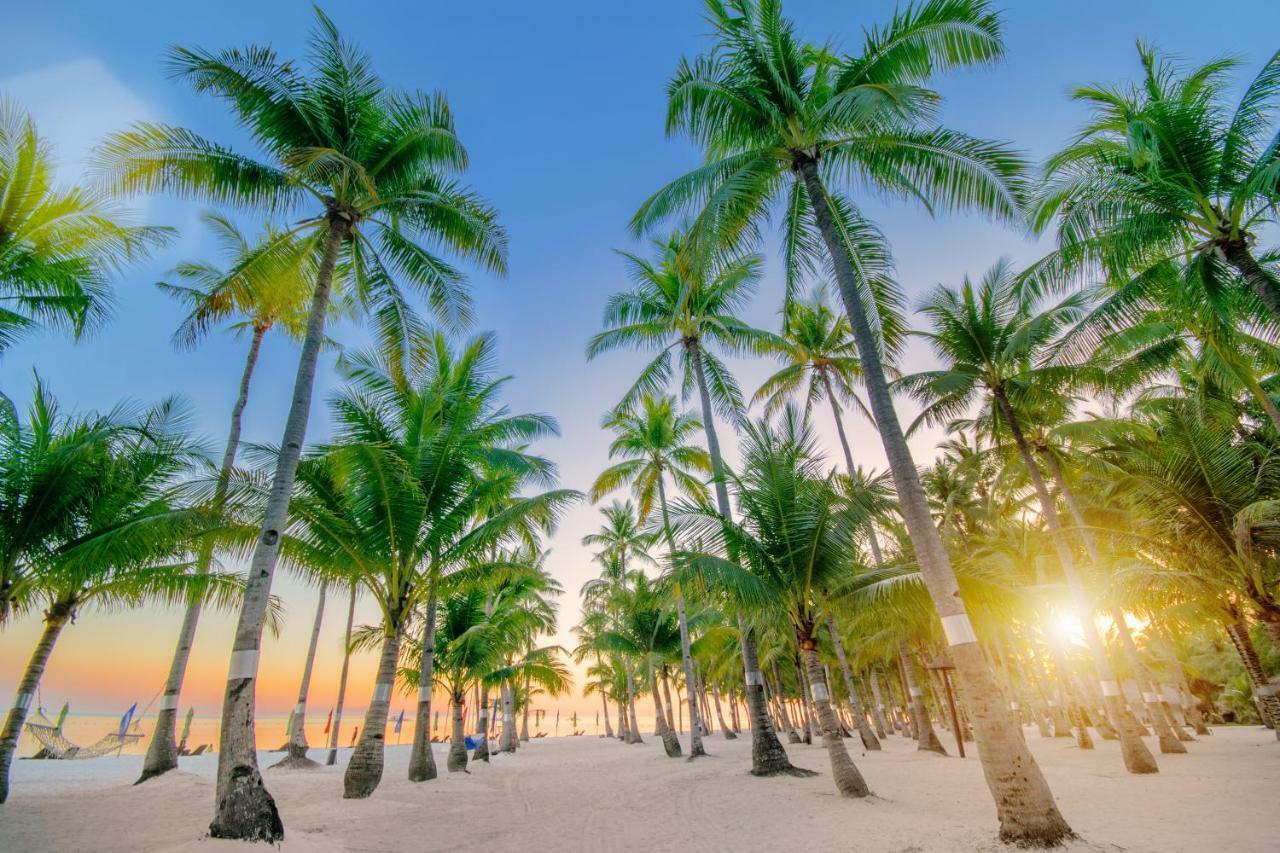 Oceanica Resort Panglao, Bohol Bagian luar foto Palm trees on a beach